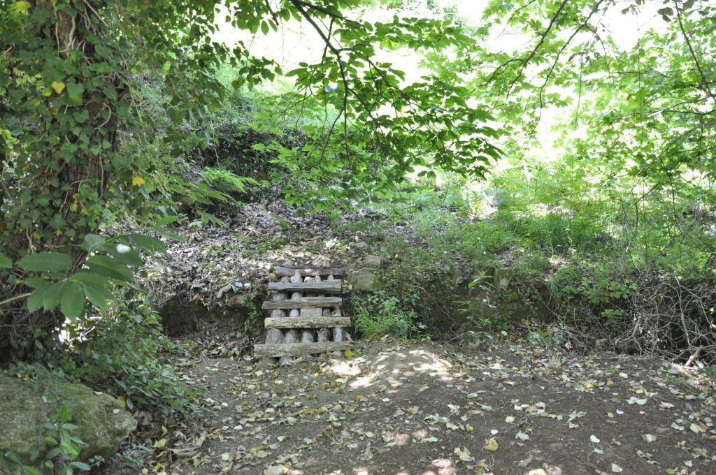 Εξωτερικός χώρος (1 of 20 images) Εξωτερικός χώρος (1 of 20 images)